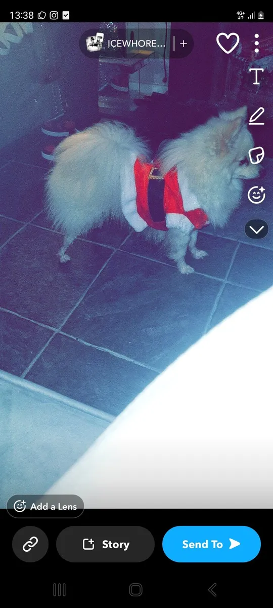 Free to good home - Image 2