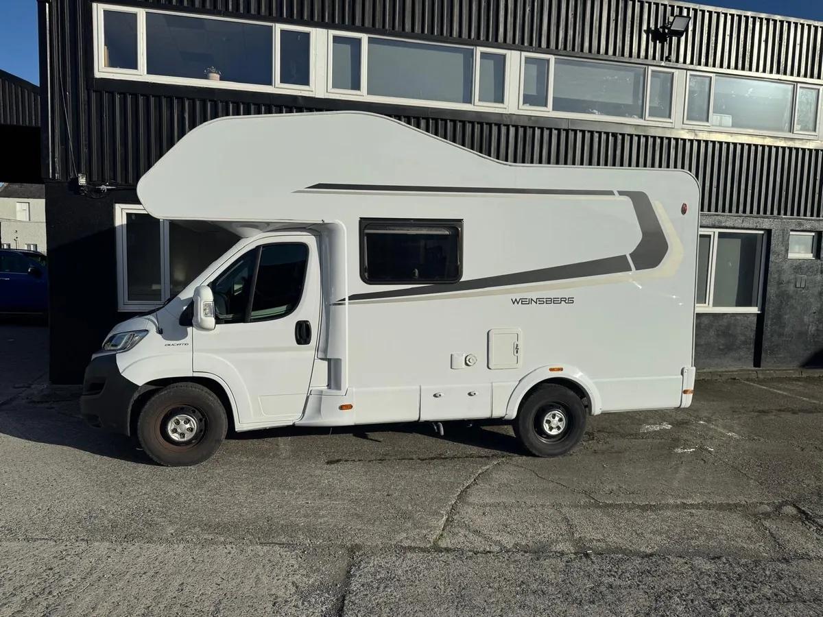 2019 Fiat Cara 550 Weinberg - Image 2