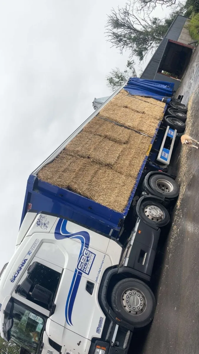 Straw and Hay - Image 3