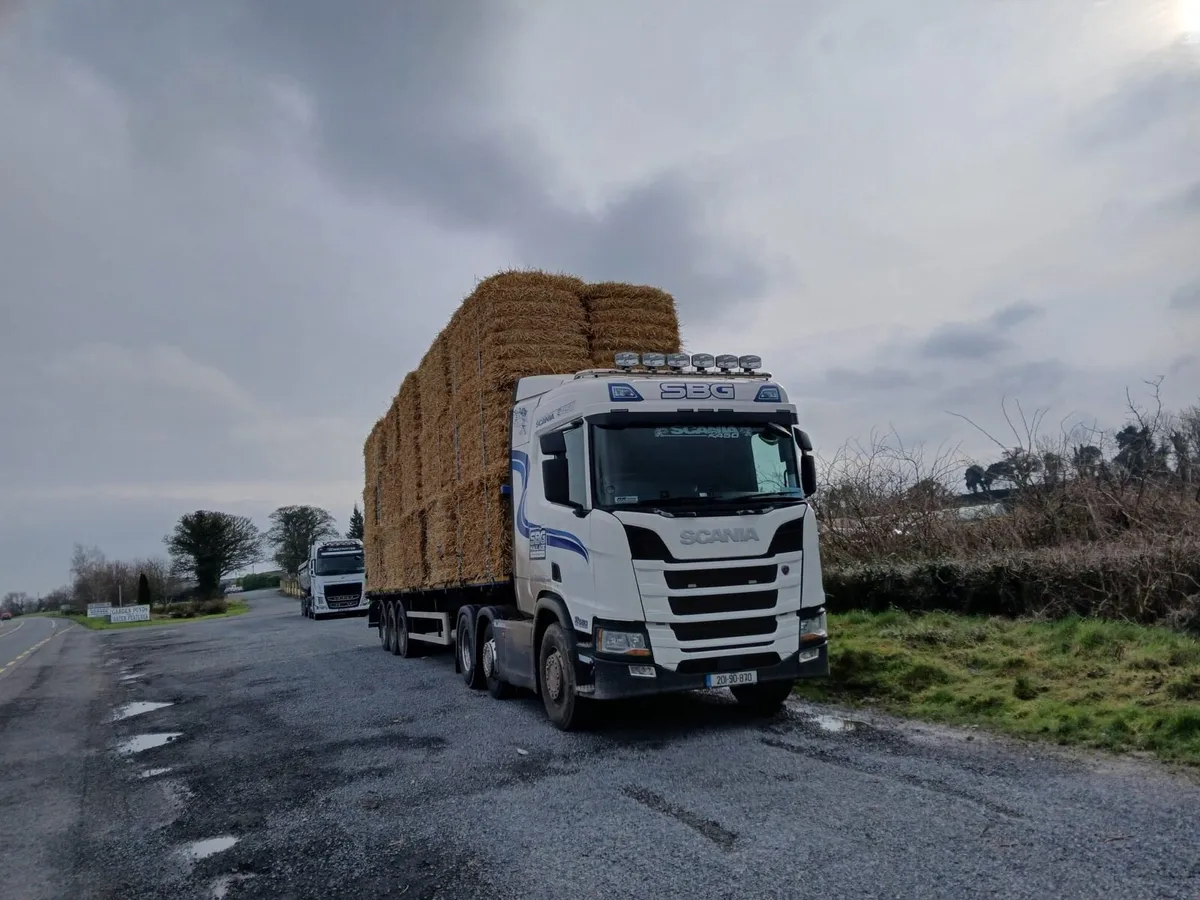 Straw and Hay - Image 4
