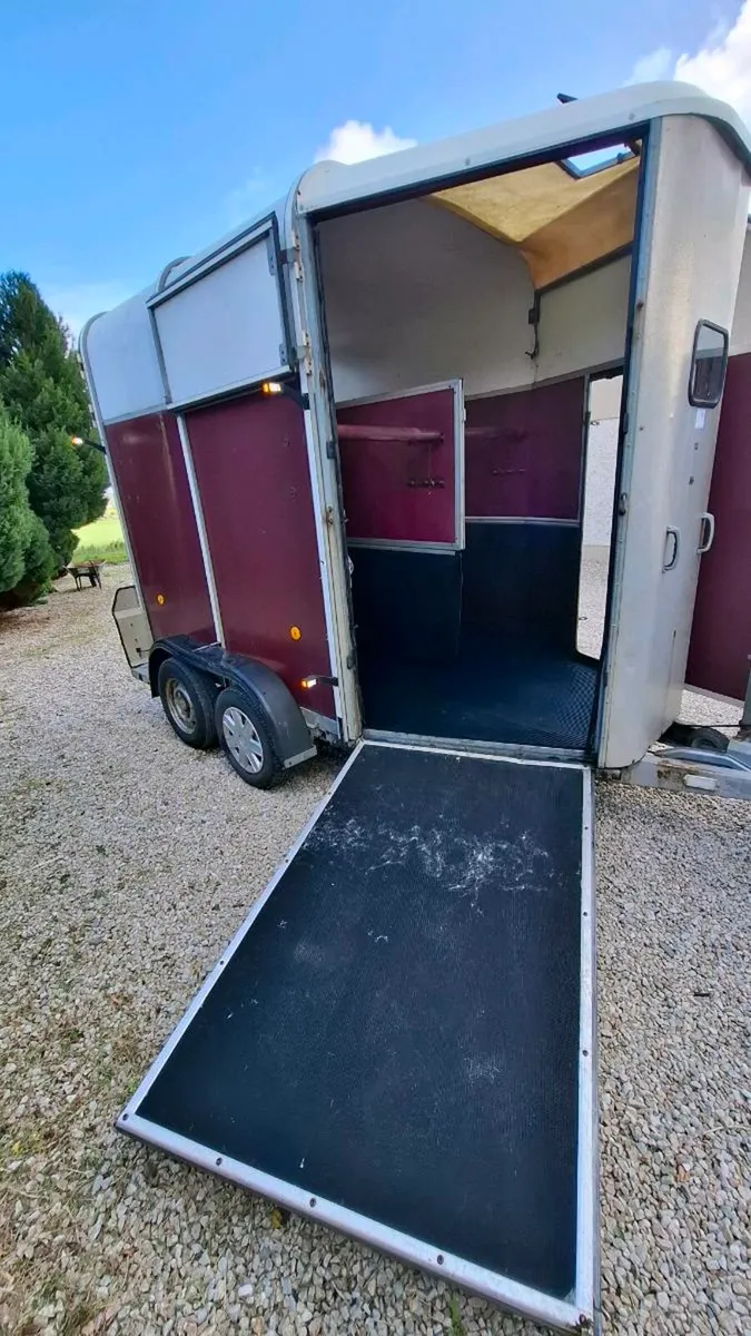 Ifor Williams 505 - Image 2