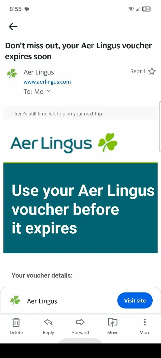 Discounted Aer Lingus Voucher - Image 2