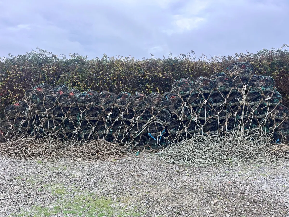 Lobster pots - Image 1