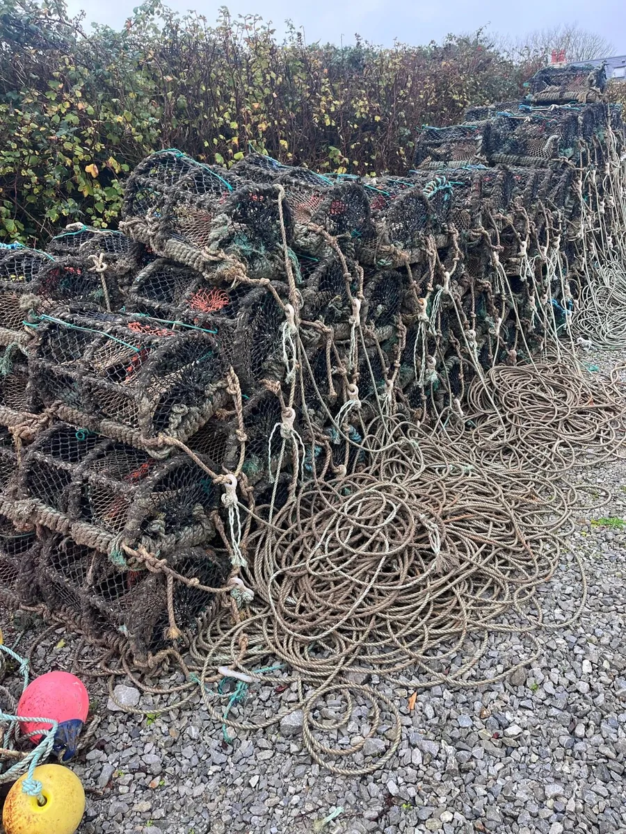 Lobster pots - Image 2