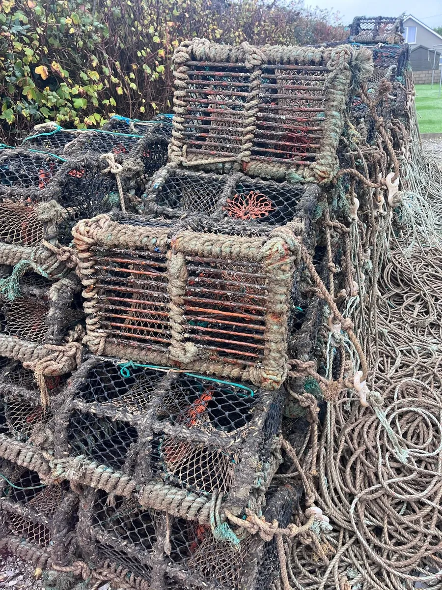 Lobster pots - Image 3