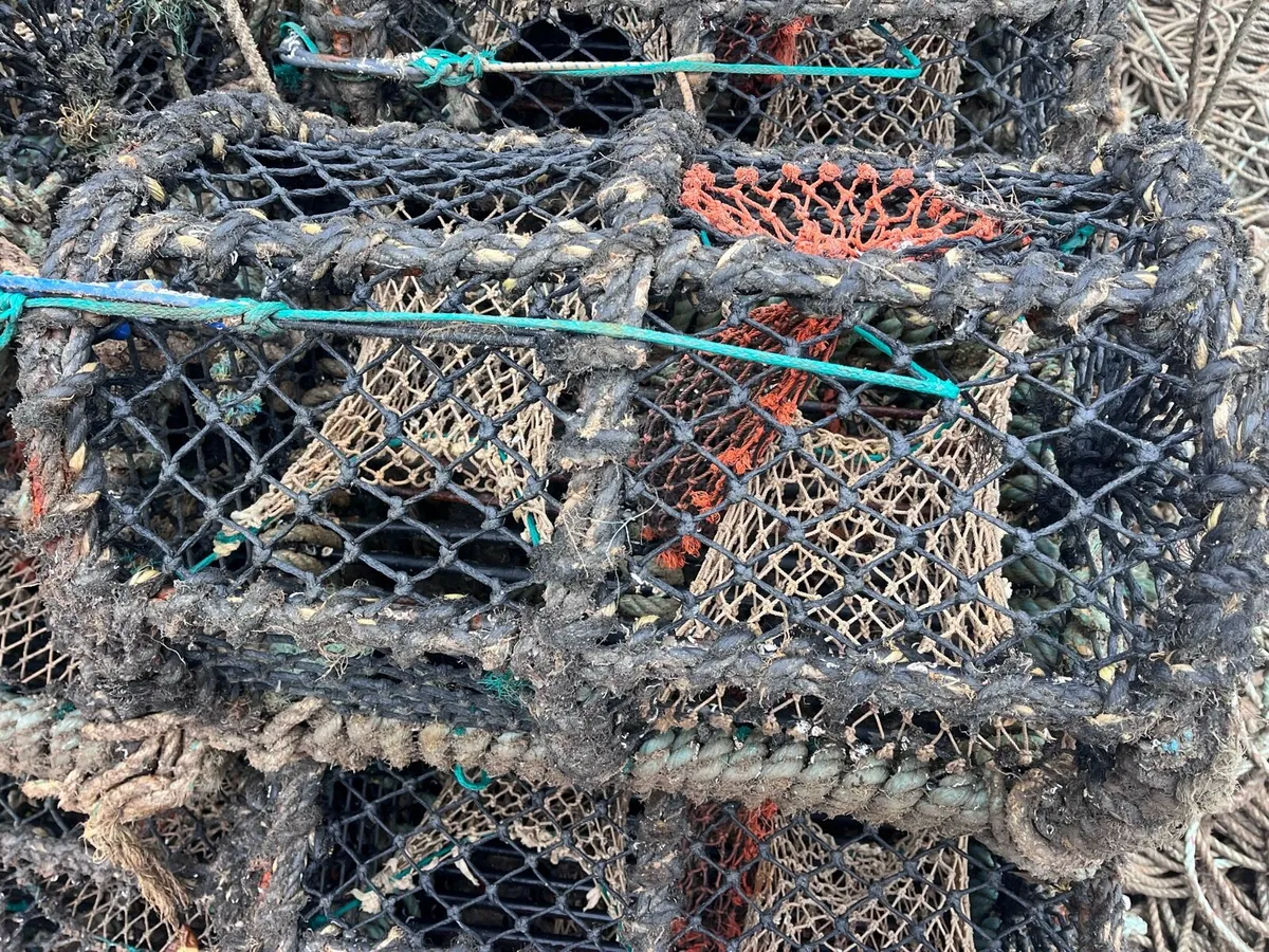 Lobster pots - Image 4