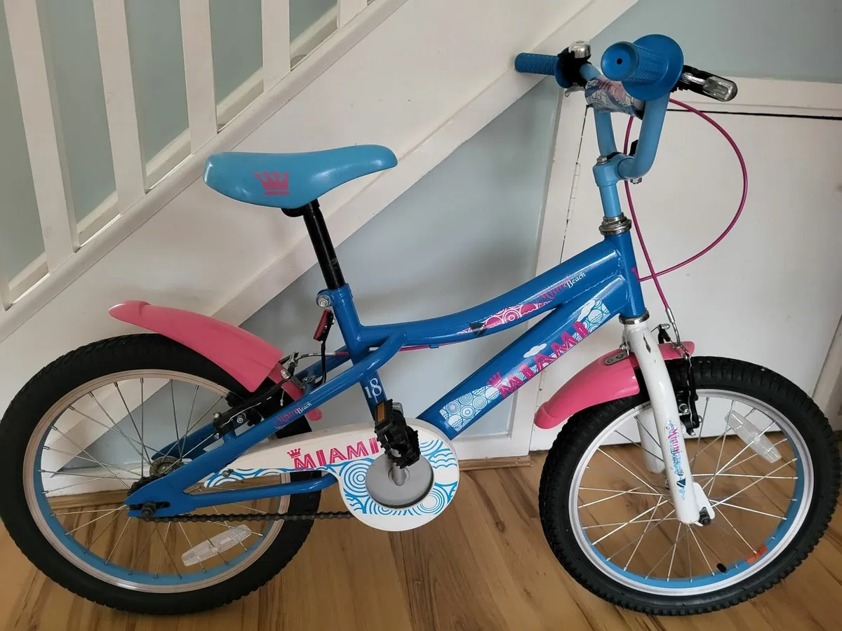 Bike 18 inch wheel - Image 3