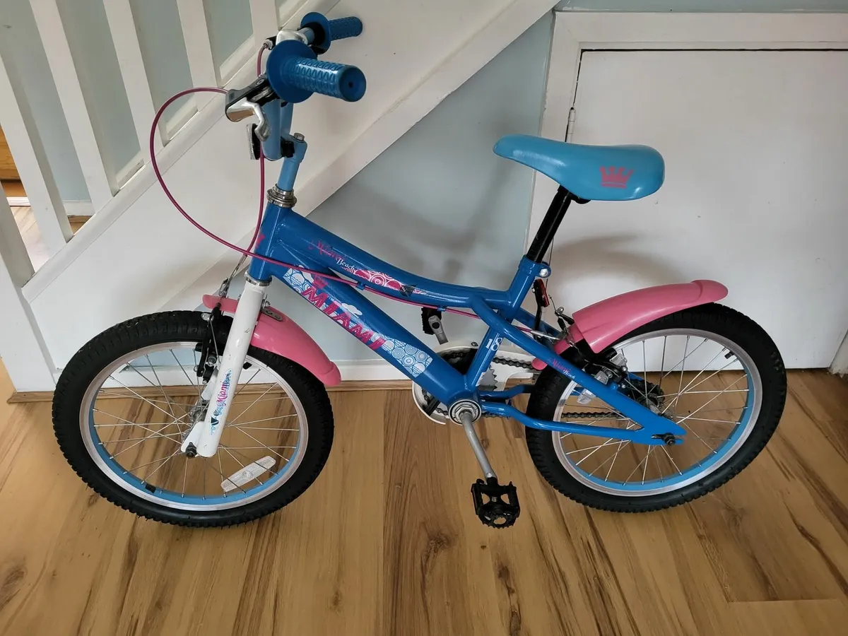 Bike 18 inch wheel - Image 1