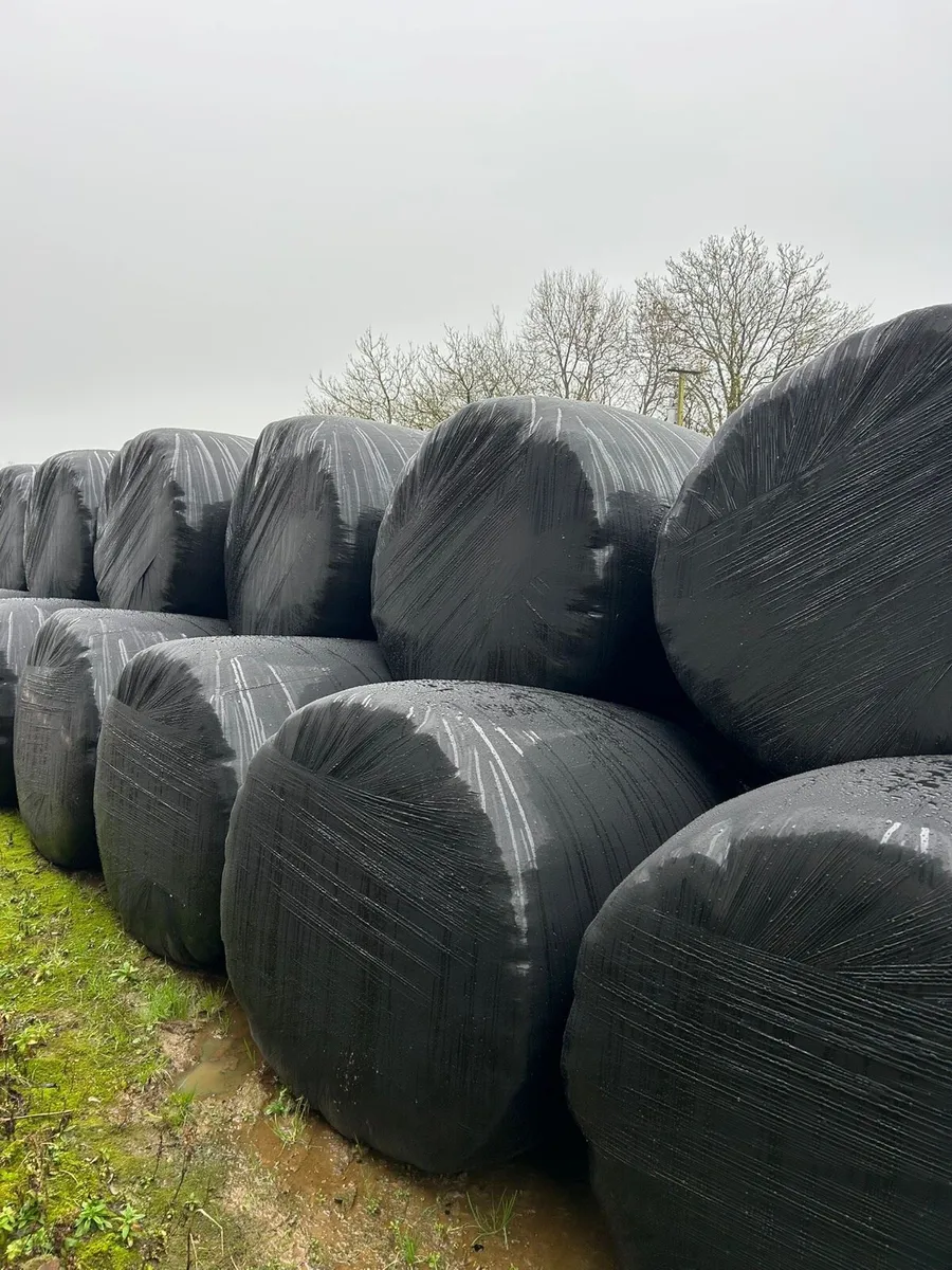 Silage and haylage bales - Image 1