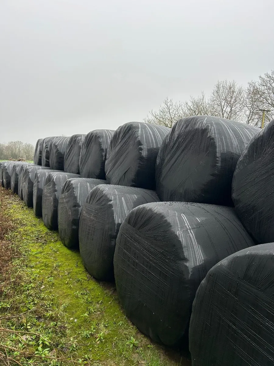 Silage and haylage bales - Image 2