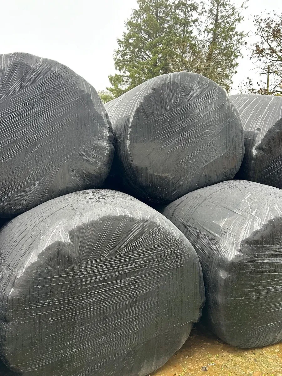 Silage and haylage bales - Image 3