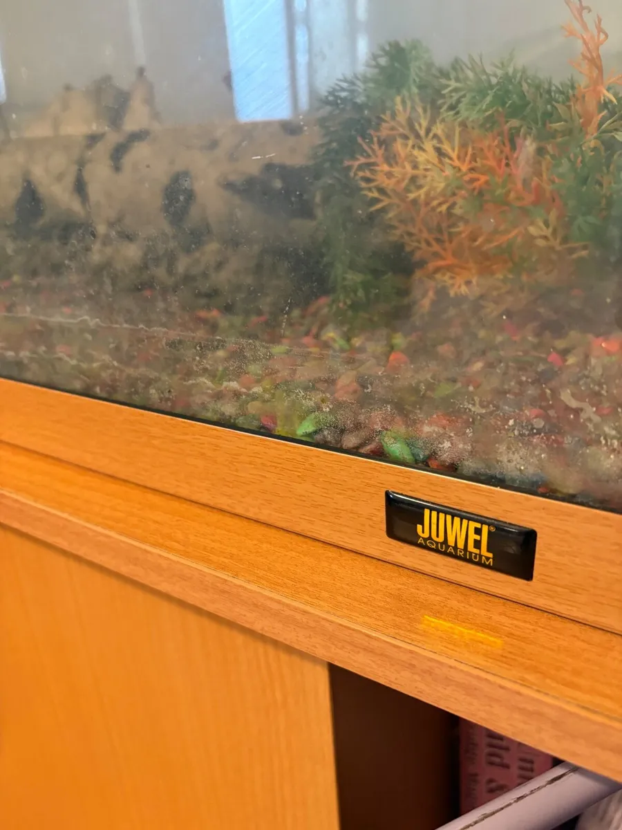 Fish tank - Image 1