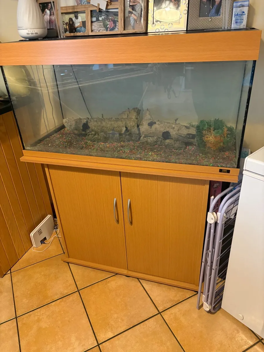 Fish tank - Image 3