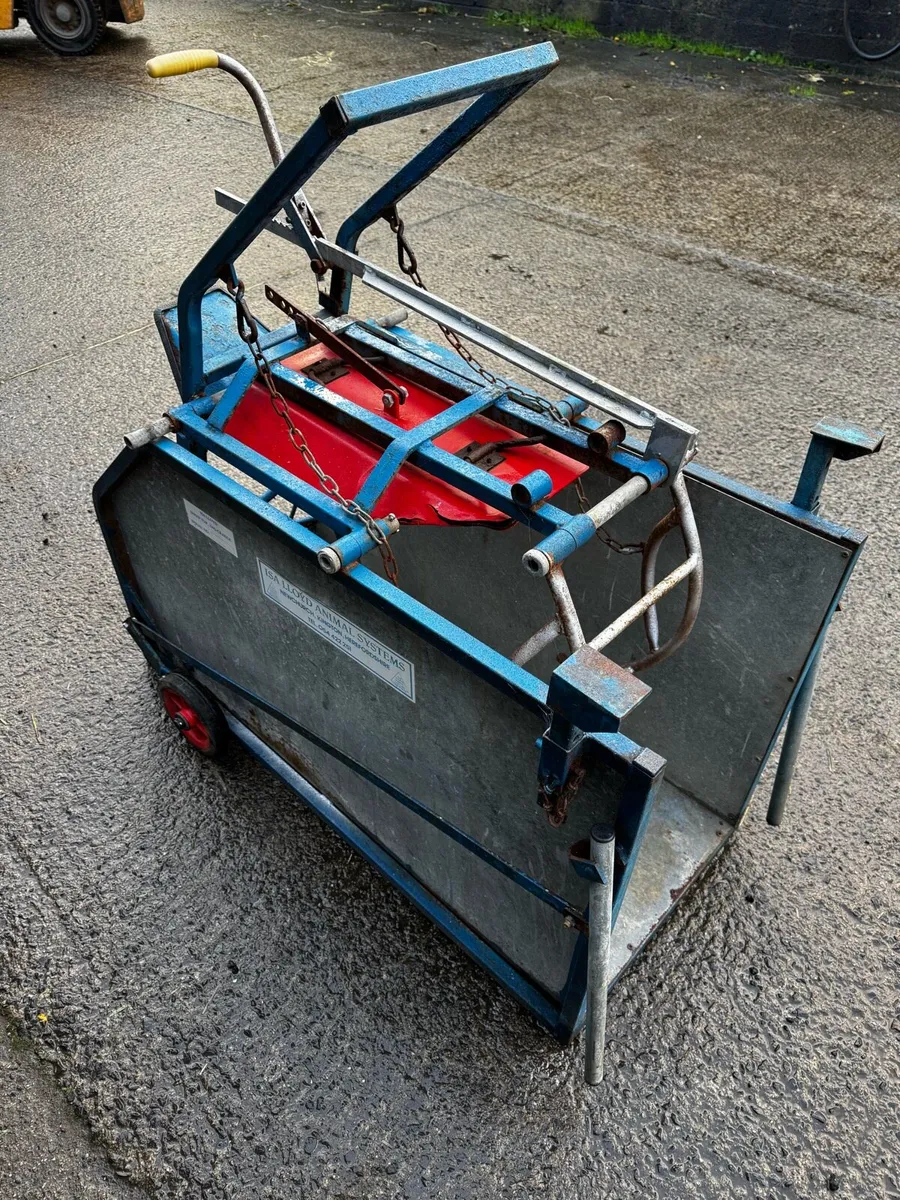 Lloyd Sheep Turnover Crate - Image 2