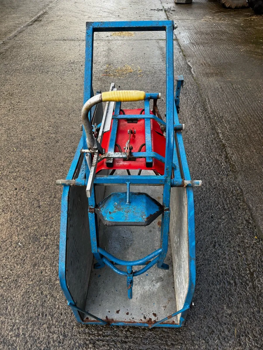 Lloyd Sheep Turnover Crate - Image 3