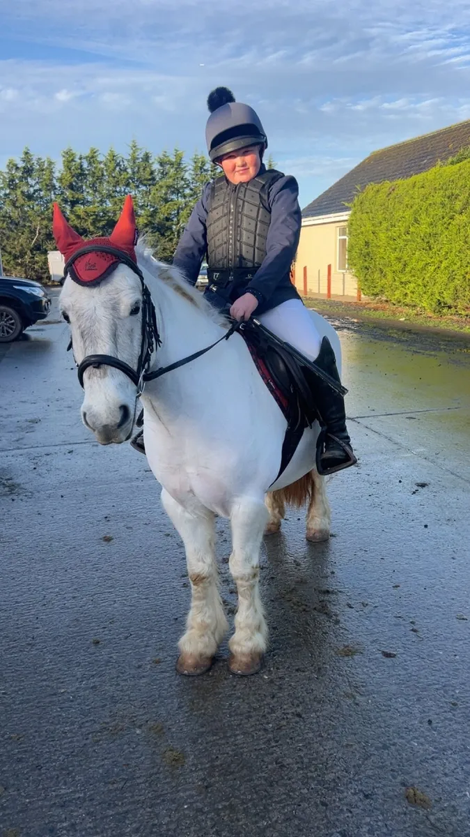 4yr old super pony with potential & sji points - Image 2