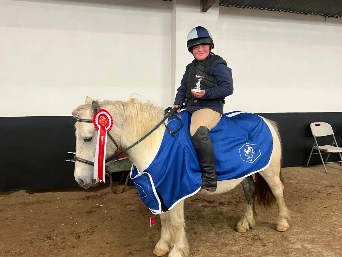 4yr old super pony with potential & sji points - Image 3