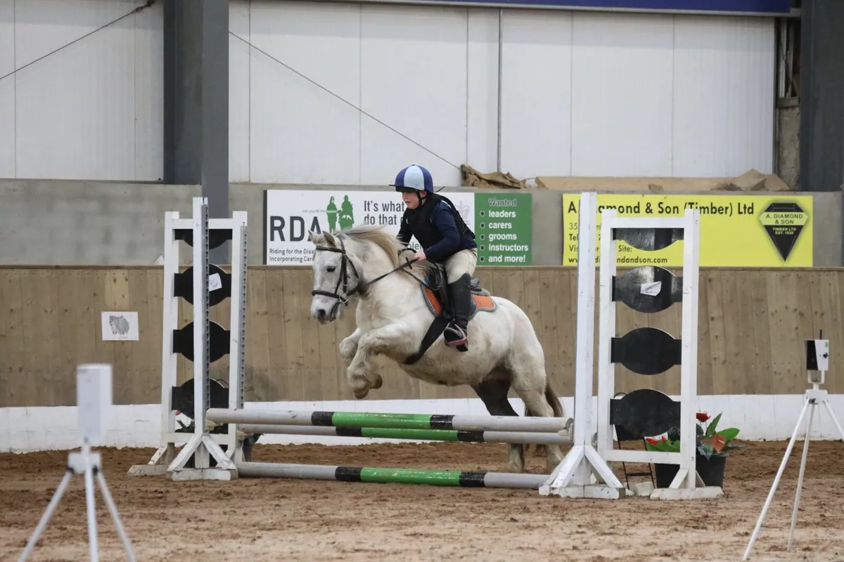 4yr old super pony with potential & sji points - Image 1