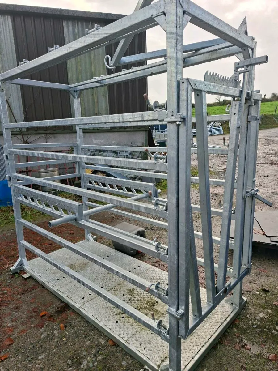 Pedigree Clipping Crate - Image 1