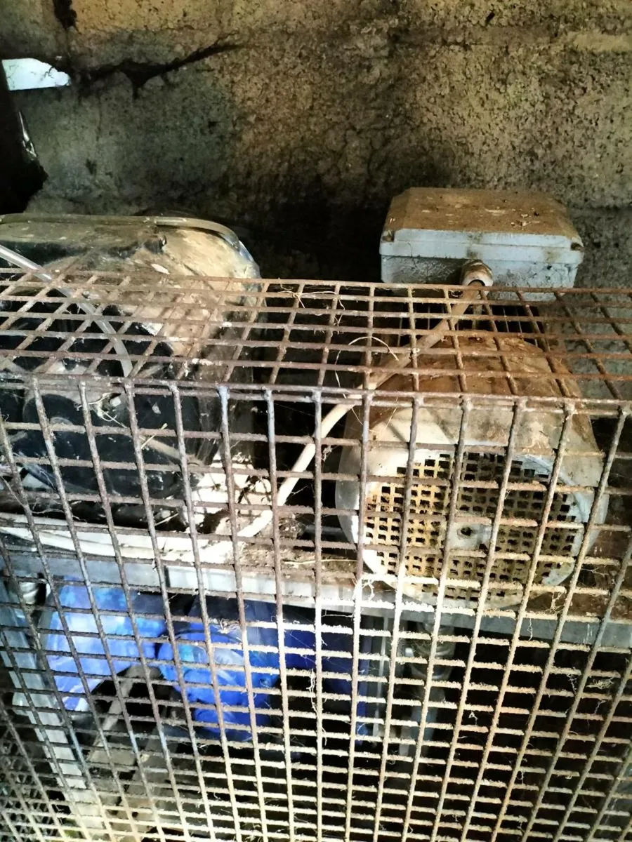 10 unit milking parlour. - Image 4