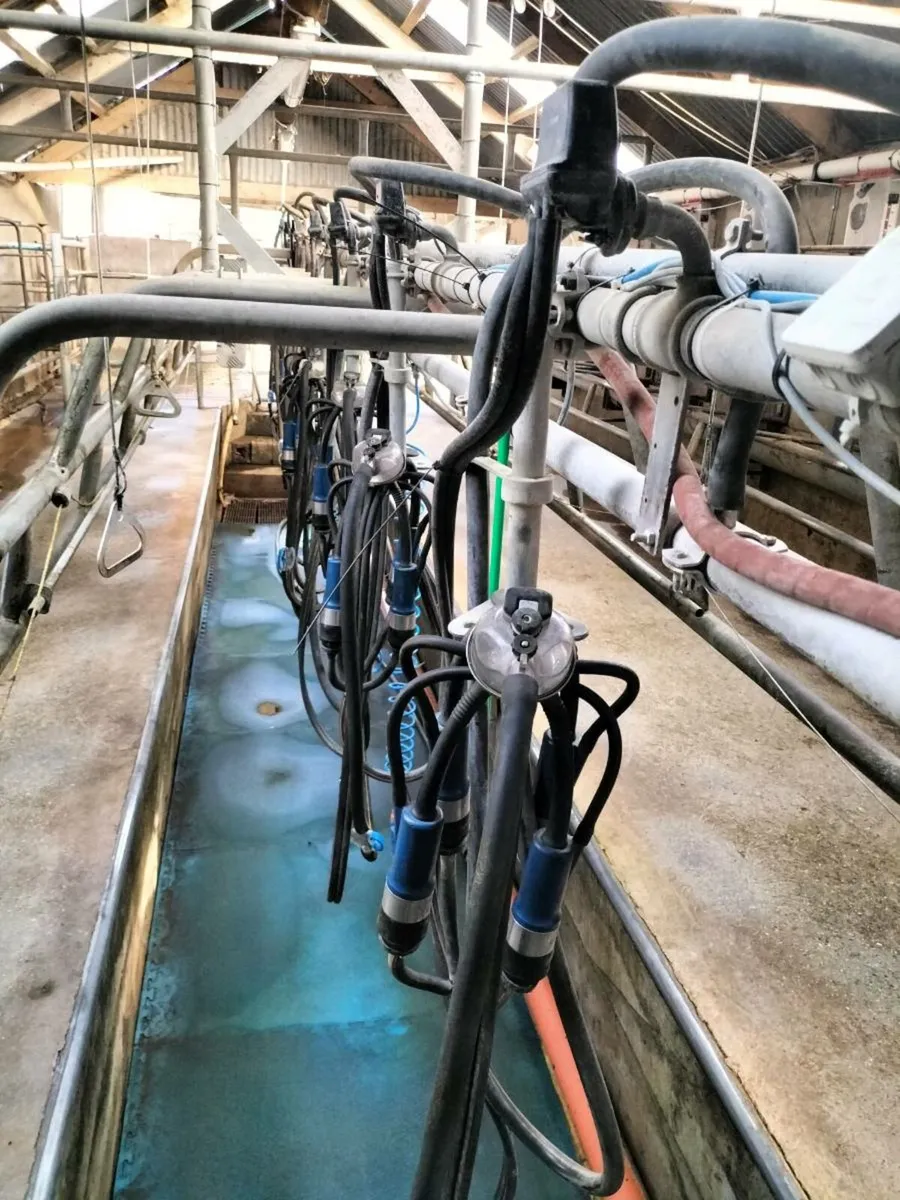 10 unit milking parlour. - Image 1