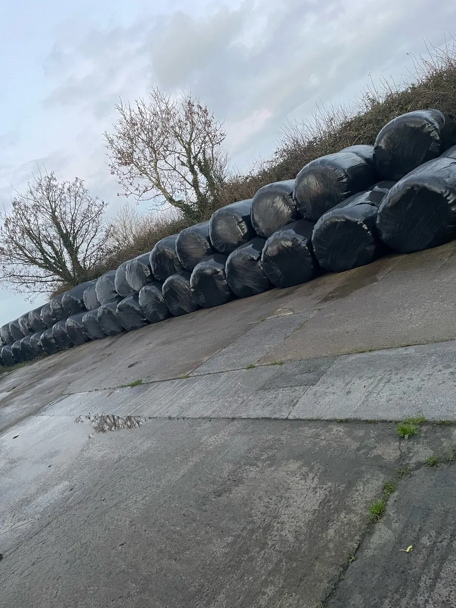50 silage bales for sale