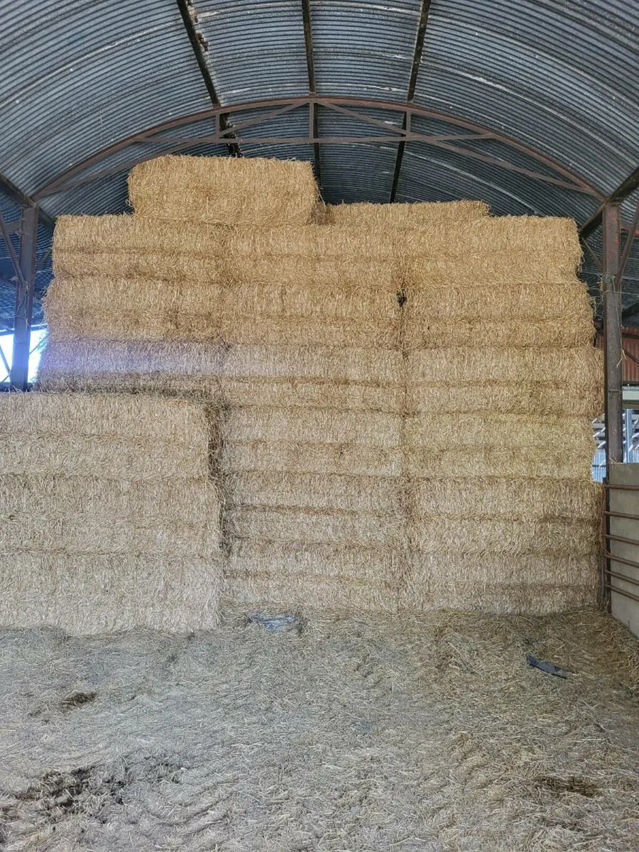 Straw - Image 2