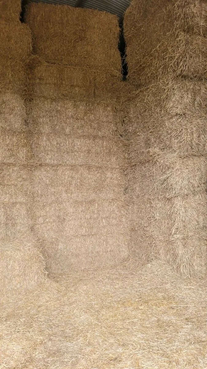 Straw - Image 4