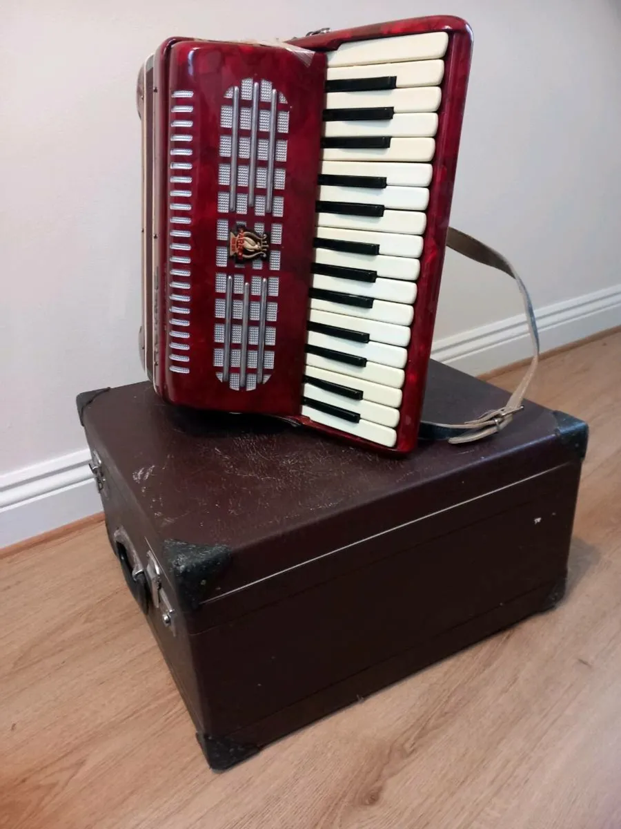 Parrot Piano Accordeon - Image 2