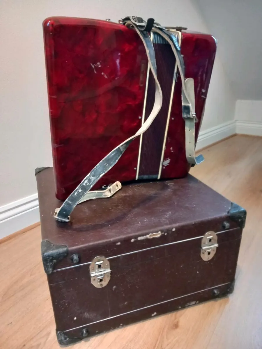 Parrot Piano Accordeon - Image 3