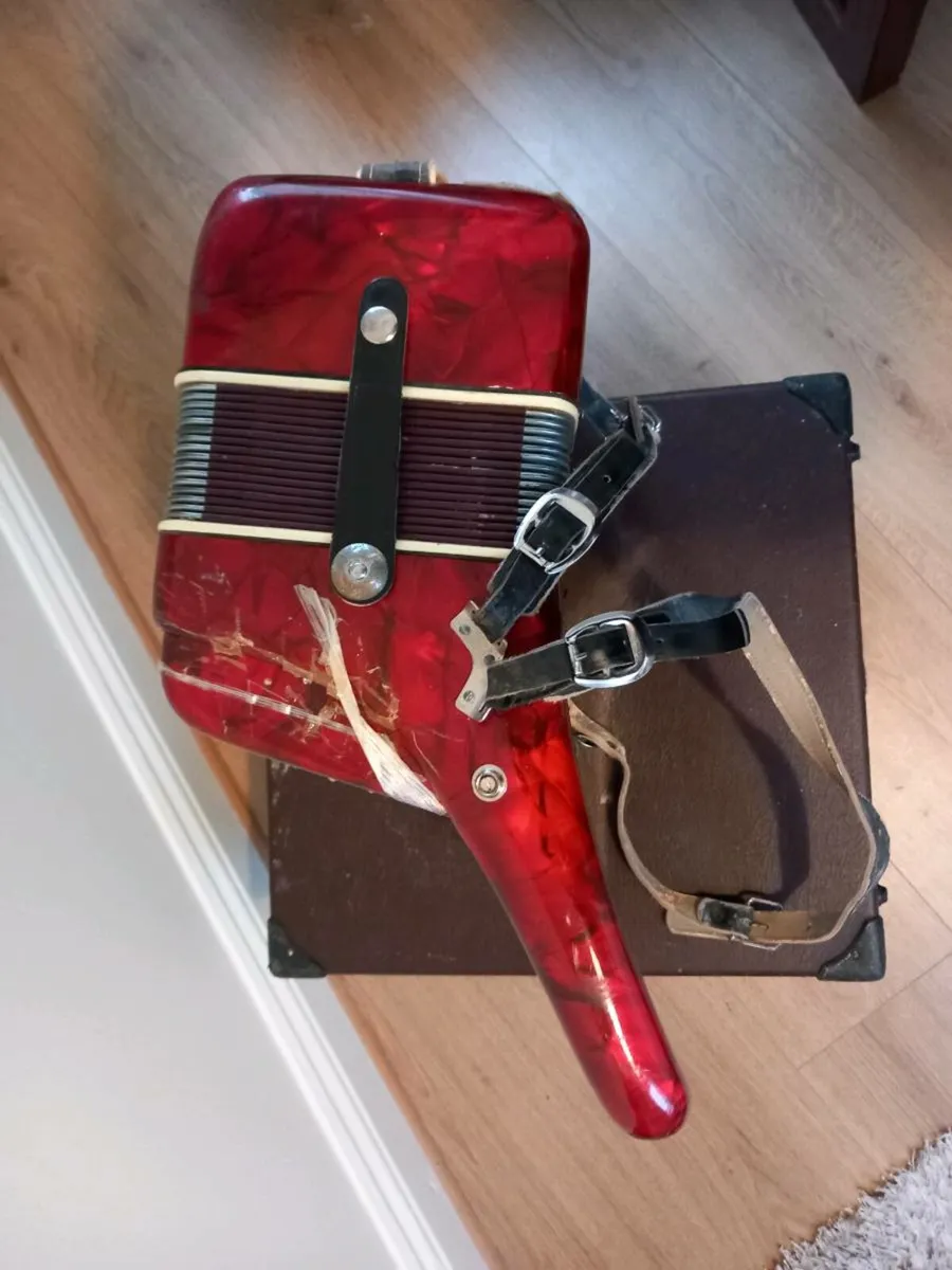 Parrot Piano Accordeon - Image 4