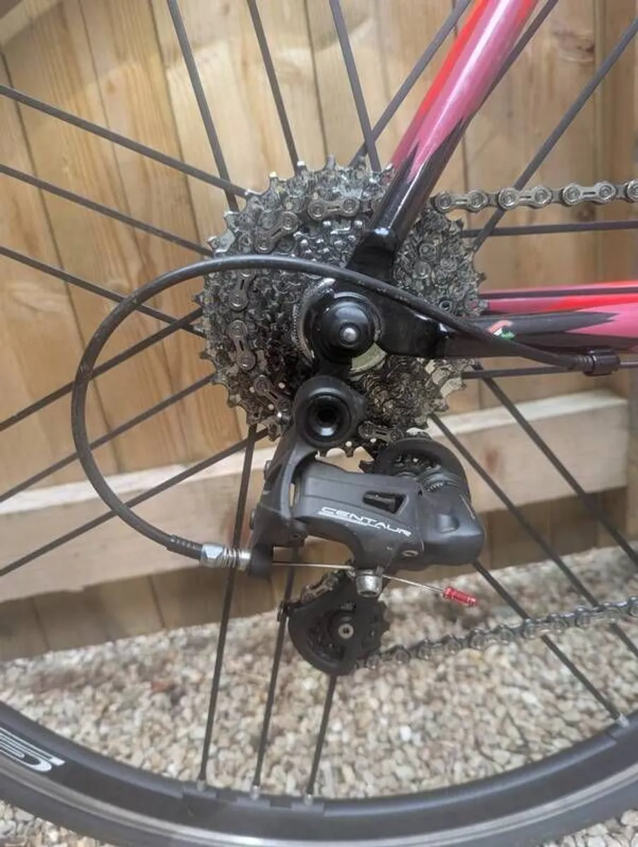 Cinelli Vigorelli road bike small - Image 3