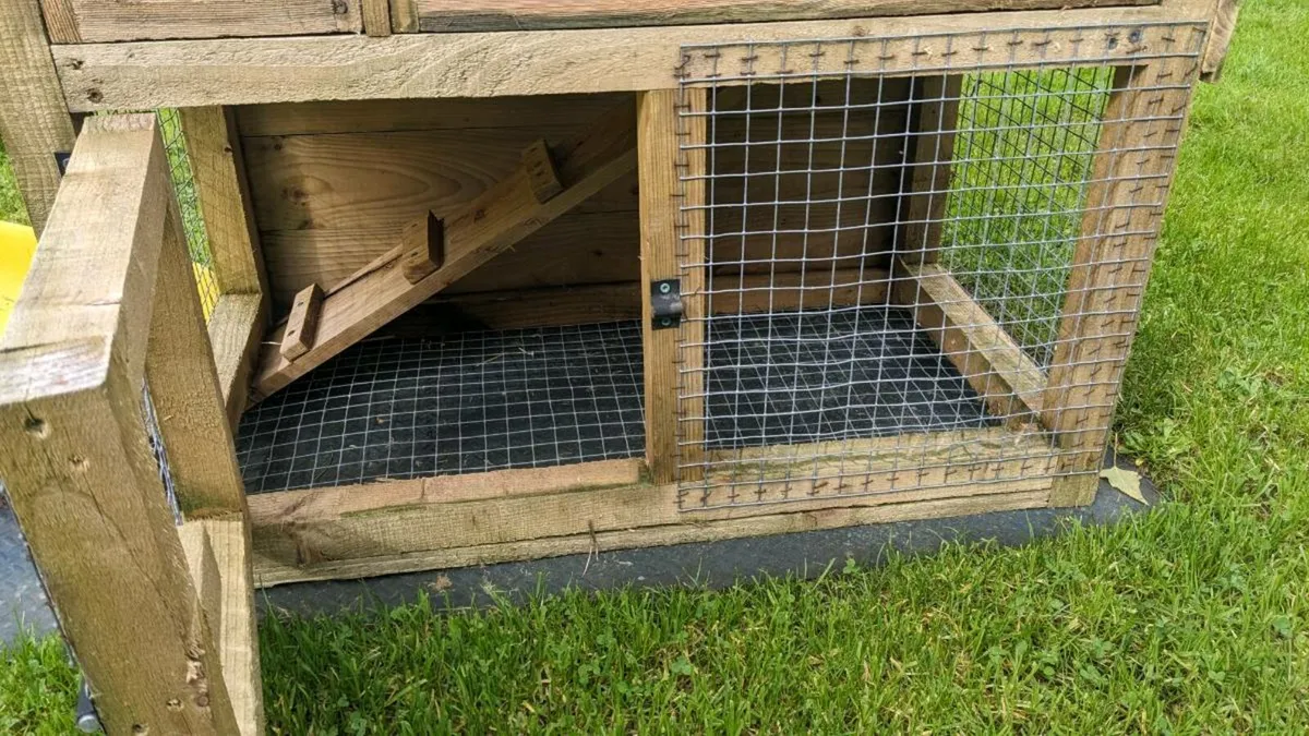 Rabbit hutch - Image 4