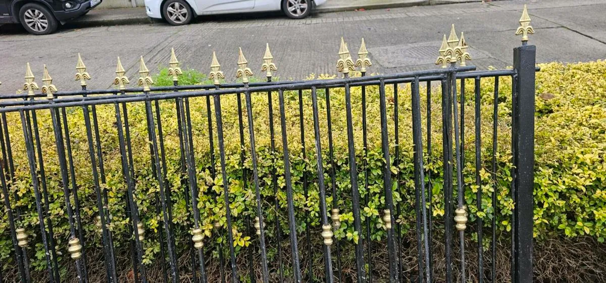 Garden Railing Beautifully Forged Arrowhead 9 Mtrs - Image 2