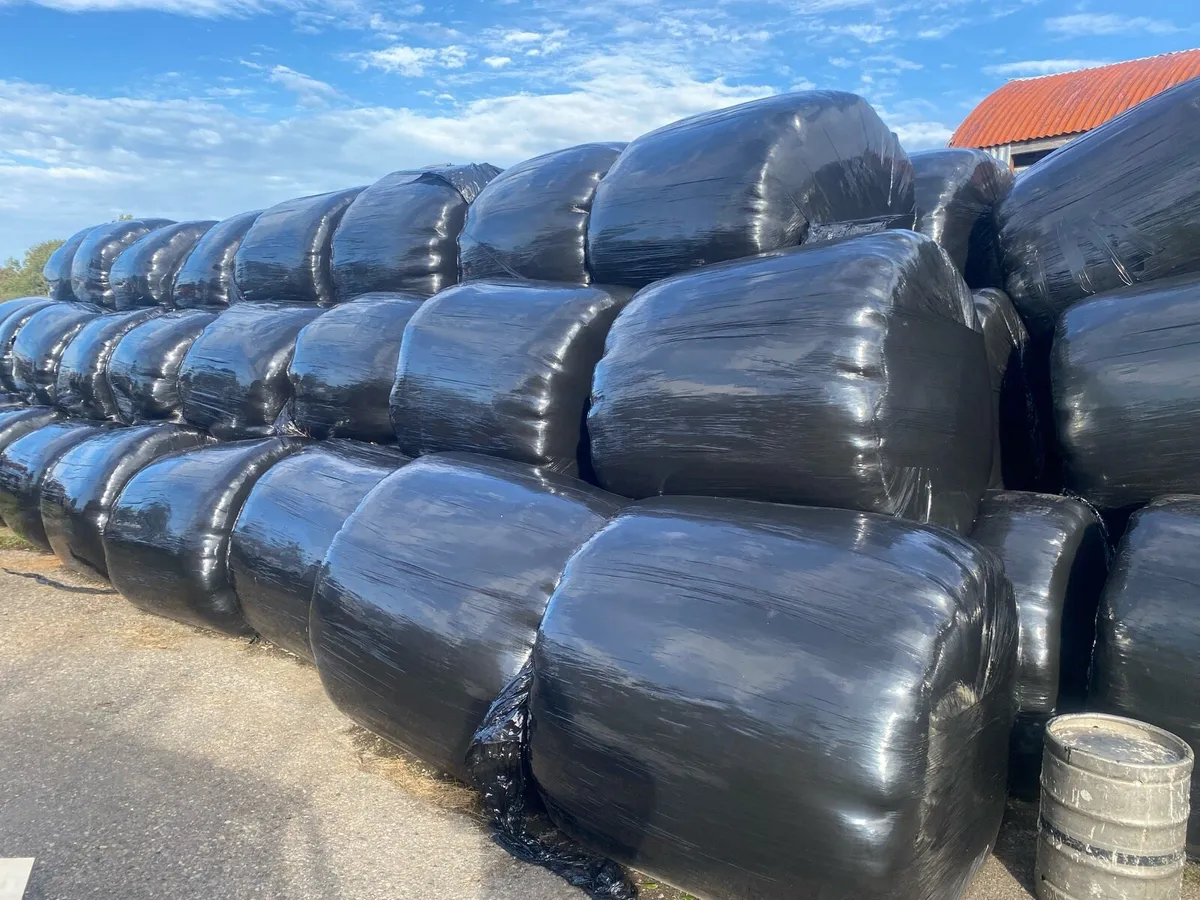 Silage bales for sale delivery can be arranged