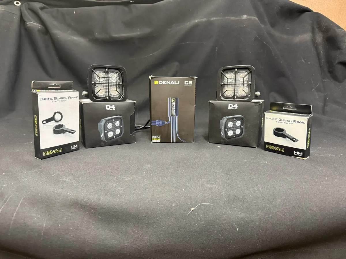 Denali D4 lights & SB / BMW GS Vario inner cases - Image 2