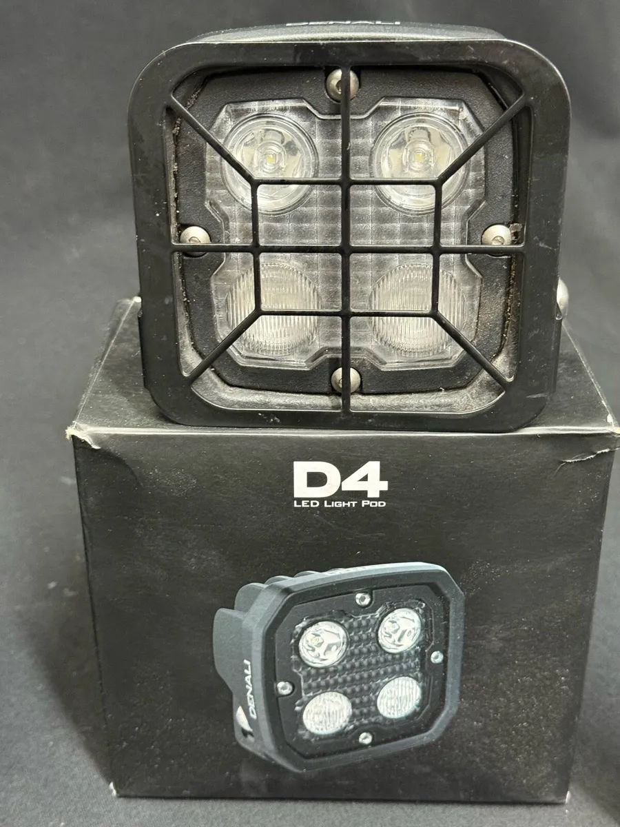 Denali D4 lights & SB / BMW GS Vario inner cases - Image 3