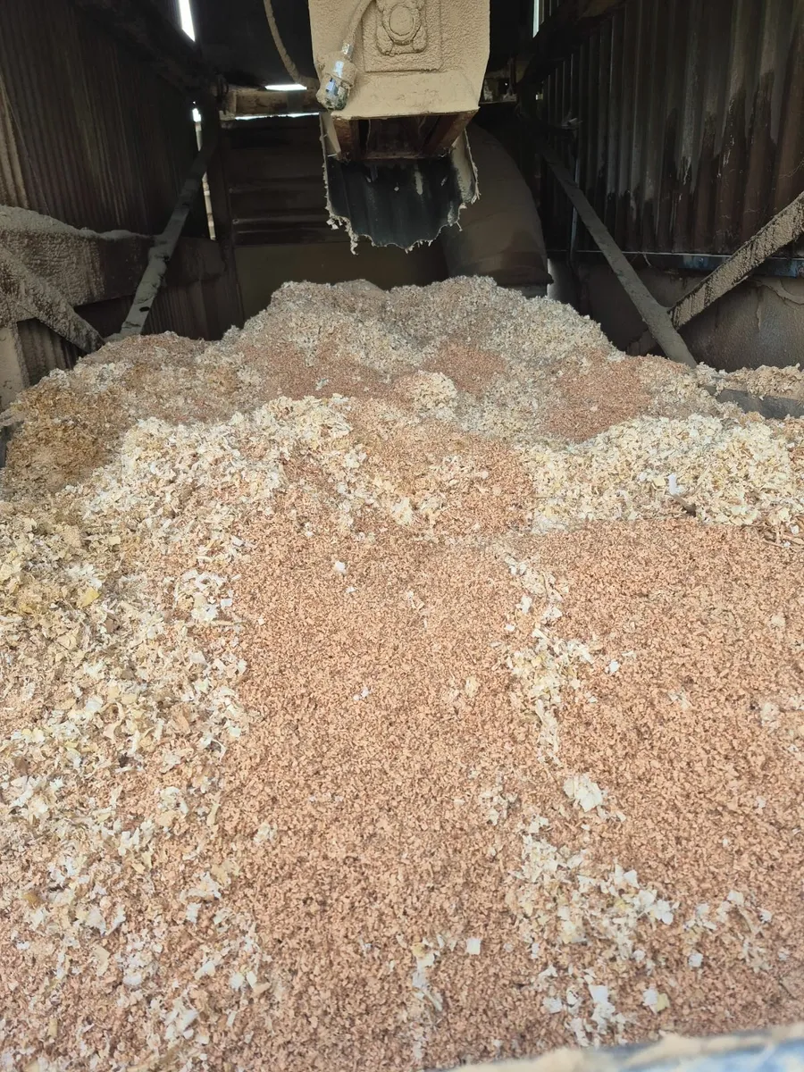 8'x 5'x 4'Shavings for bedding delivered in Galway