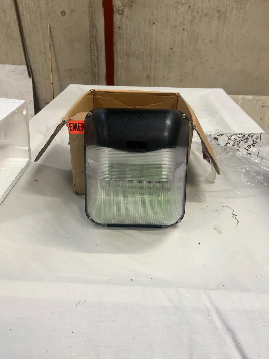 Outdoor bulkhead light with emergency bulb - Image 3