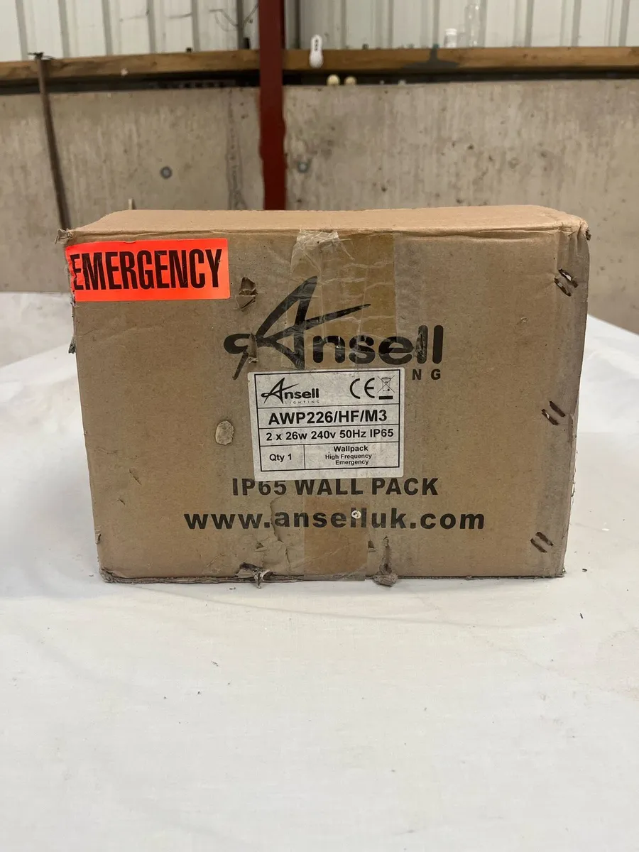 Outdoor bulkhead light with emergency bulb - Image 4