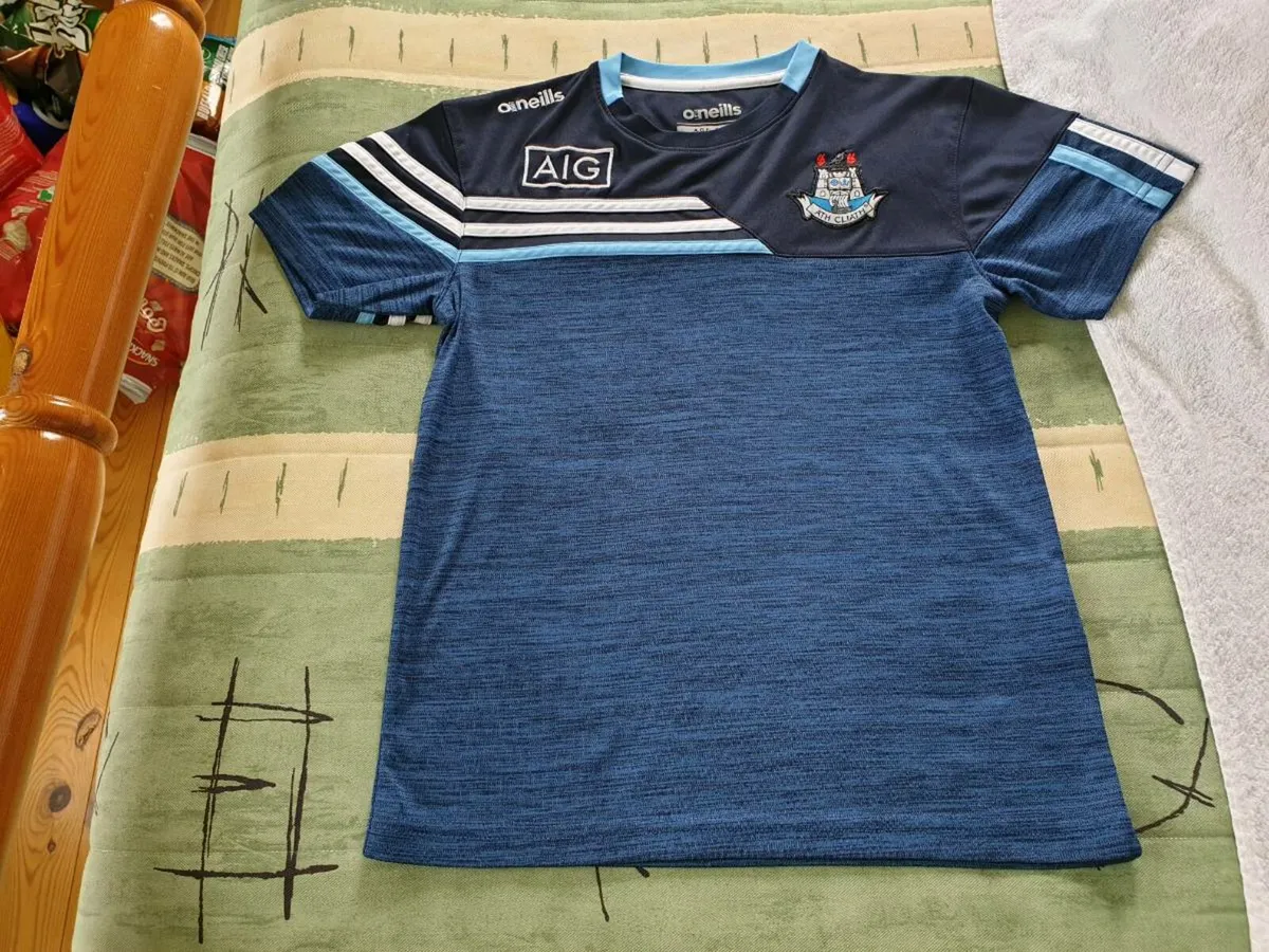 Dublin Gaelic Football Training Jersey 2019 2020 - Image 1