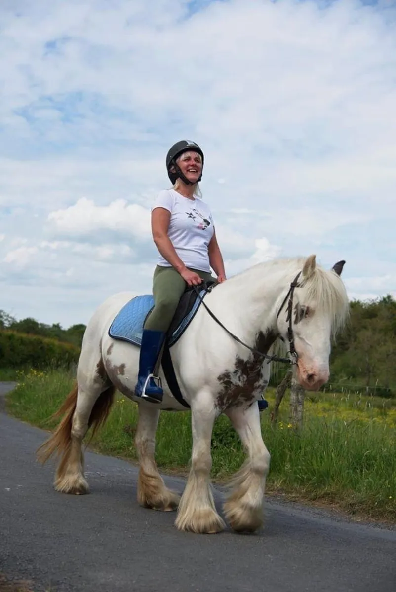 Perfect First Pony - Image 2