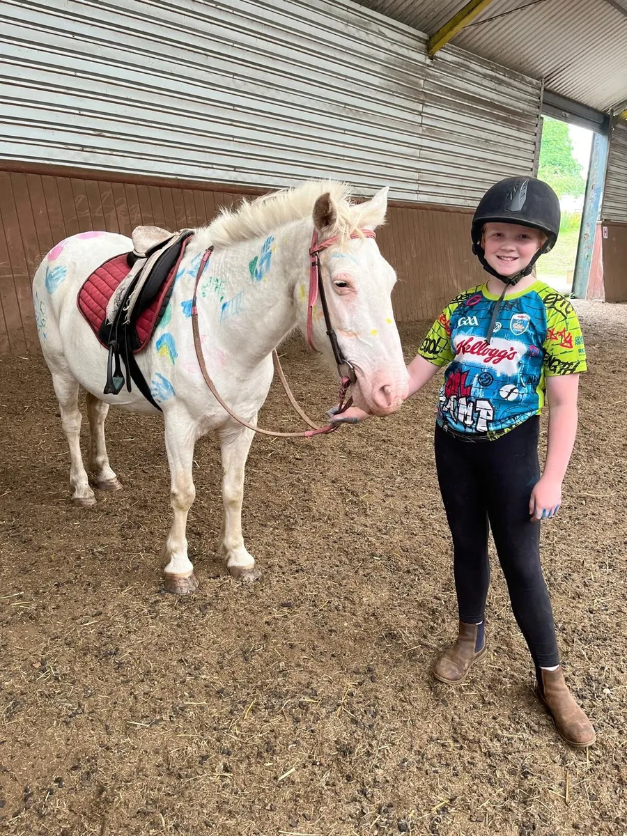 Perfect first Pony! - Image 1