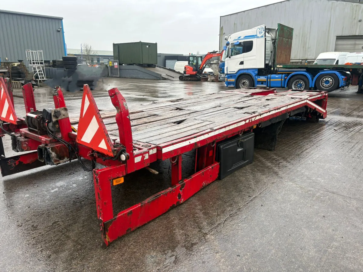 For Sale: Cheese Wedge Plant Body - Image 4