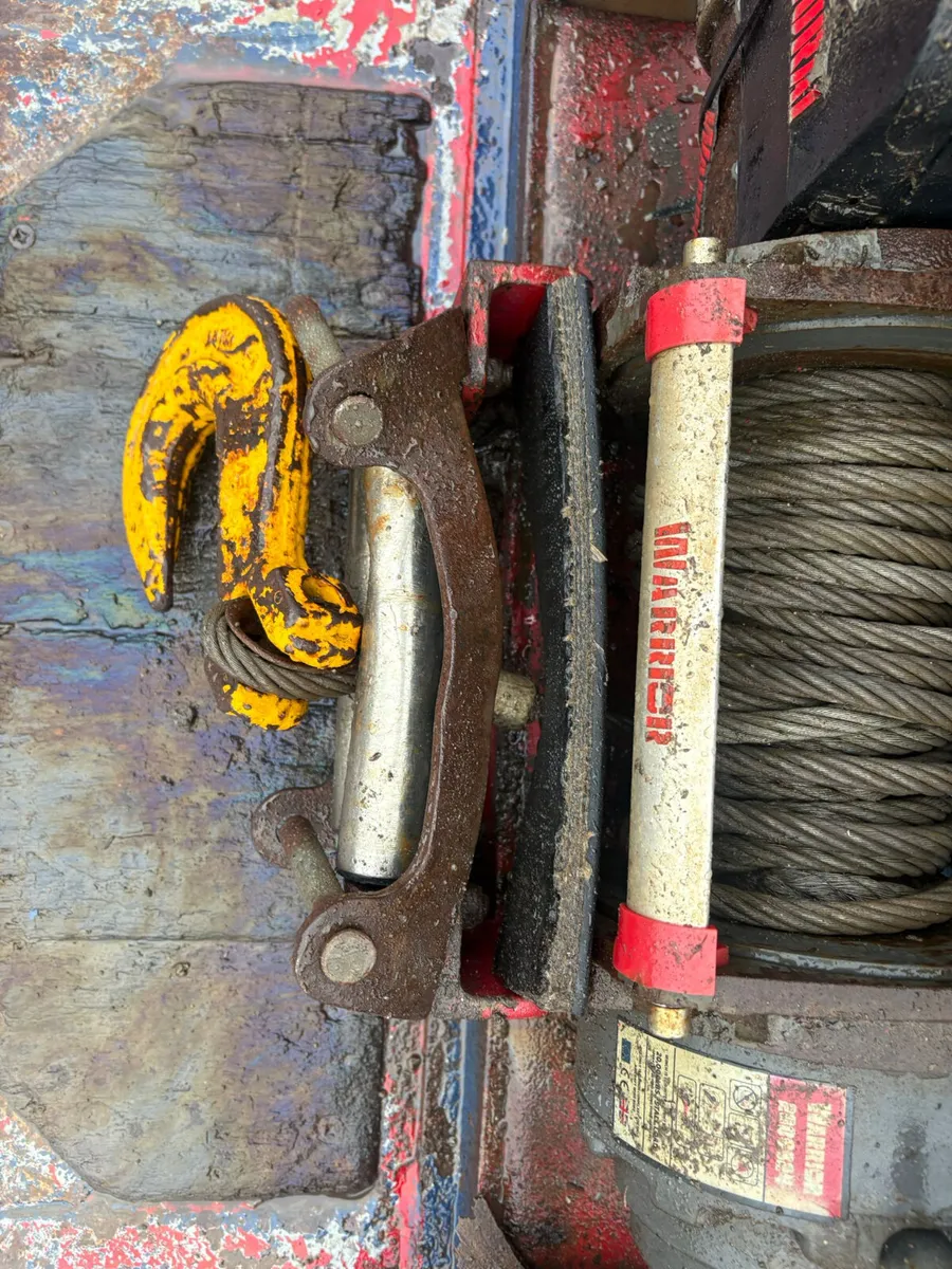 For Sale: Cheese Wedge Plant Body - Image 3