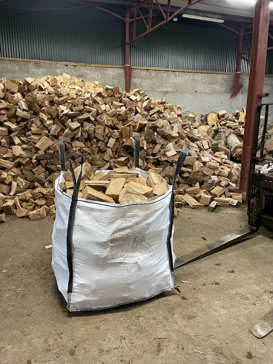 Hardwood logs - Image 2