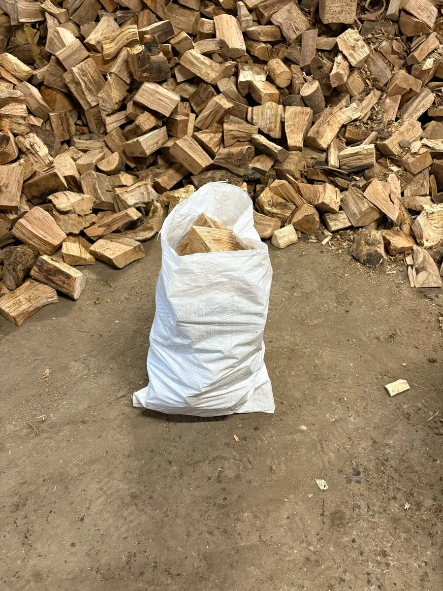 Hardwood logs - Image 3
