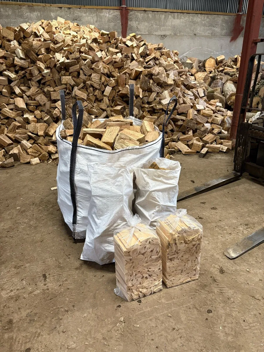 Hardwood logs - Image 1