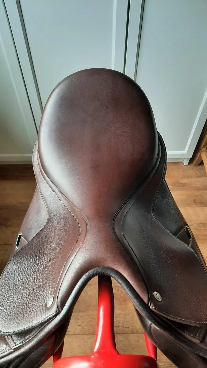 Saddle - Image 2