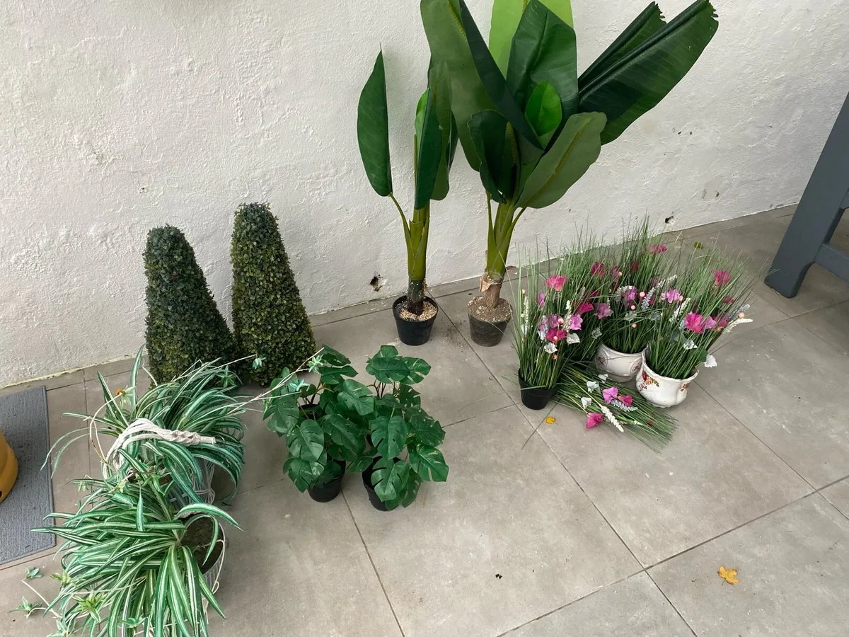 Plants and flowers - Image 1